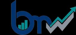 BMW Fin-Invest Pvt. Ltd. logo